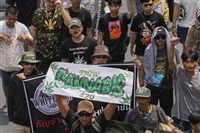 Cannabis activists and entrepreneurs, march to Government House in Bangkok, Thailand, Monday, July 8, 2024. Two years after marijuana was decriminalized in Thailand, nearly a hundred of its advocates marched to the prime minister’s office Monday to protest a possible ban on general use.